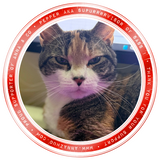 2025 Holiday Mystery Box