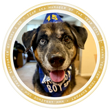 2025 Holiday Mystery Box